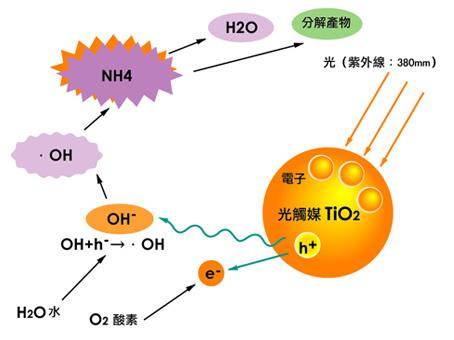 如何辨別劣質(zhì)光觸媒？